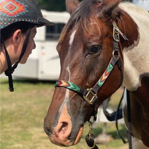 Meet your Posher, Lily
